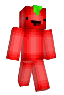 Radicalcam20 Minecraft avatar full body