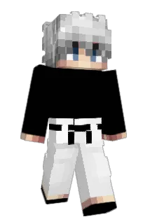 Radicool00 Minecraft avatar full body