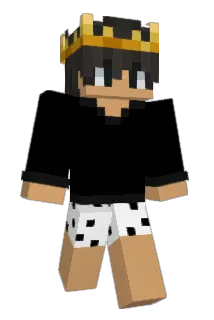 Radigo_7000 Minecraft avatar full body