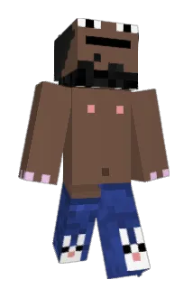Radin999 Minecraft avatar full body