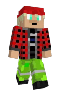RadioBergman Minecraft avatar full body