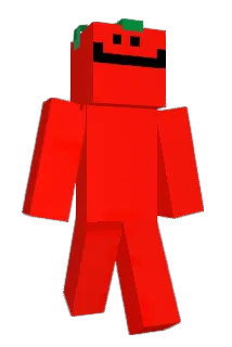 Radioactive_food Minecraft avatar full body