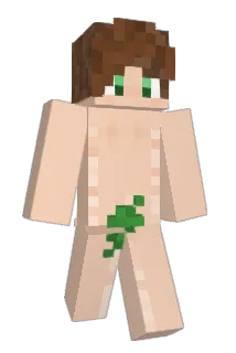 Radionator Minecraft avatar full body