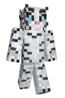 Radis11 Minecraft avatar full body