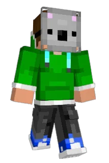 Radius47 Minecraft avatar full body