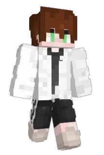 Radsche1609 Minecraft avatar full body