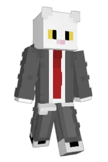 Radzik25 Minecraft avatar full body