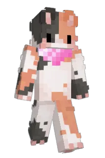 Rafa336 Minecraft avatar full body