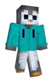 Rafax24 Minecraft avatar full body