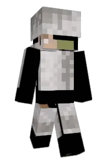 Raff065 Minecraft avatar full body