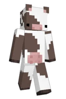 Rafl_ Minecraft avatar full body
