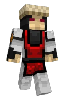 Raiden313 Minecraft avatar full body