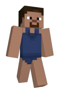 Raiden572 Minecraft avatar full body