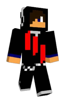 RaidenWWW Minecraft avatar full body