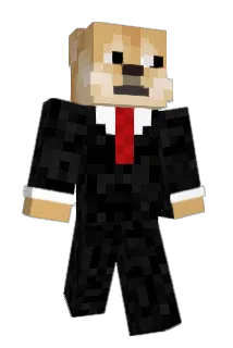 Raider360B Minecraft avatar full body