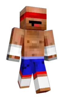 Raider383 Minecraft avatar full body