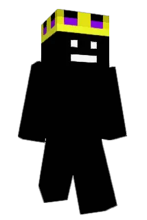RaiderForTheWin Minecraft avatar full body