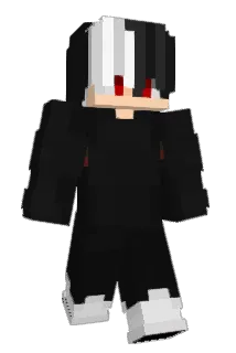 Raidox55 Minecraft avatar full body