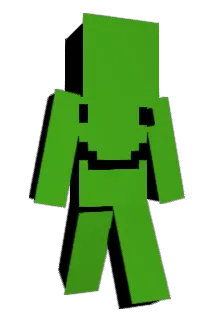 RaidzzMC Minecraft avatar full body