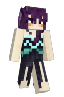 Railloune Minecraft avatar full body