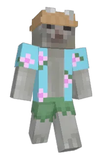Rain_1011 Minecraft avatar full body