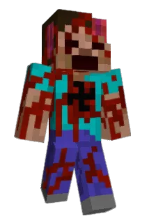Raindoss Minecraft avatar full body
