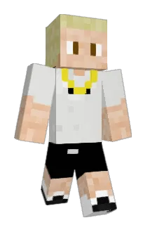 RainerSchmidt Minecraft avatar full body