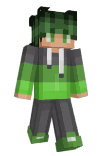 RaisinGaming Minecraft avatar full body