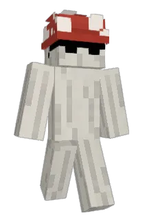 Raisonss Minecraft avatar full body