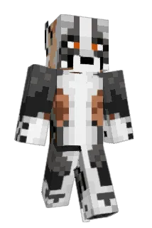 Ralliron Minecraft avatar full body