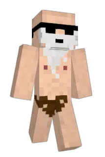 RaminHartmann Minecraft avatar full body