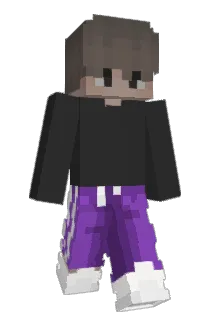 Ramme Minecraft avatar full body