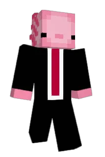 RammenXD Minecraft avatar full body