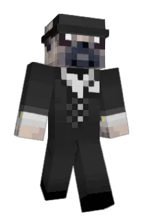 Ramstar7 Minecraft avatar full body