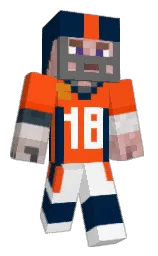Custom render preview