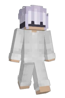 Randeom Minecraft avatar full body
