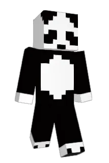 Randocalzonian99 Minecraft avatar full body