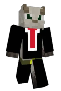 RandomHuman10 Minecraft avatar full body