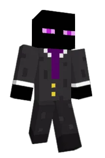 Random_Ender Minecraft avatar full body