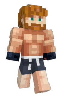 Random_Frostbite Minecraft avatar full body