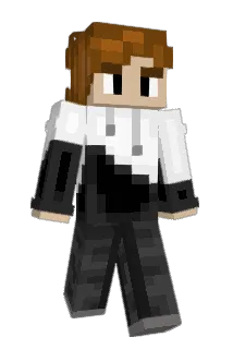 RandomlyMeh Minecraft avatar full body