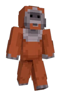 Ranga846 Minecraft avatar full body