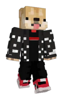 Raniu_ Minecraft avatar full body