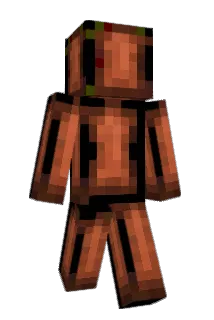 Ranzi Minecraft avatar full body