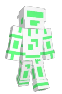 Raogs Minecraft avatar full body
