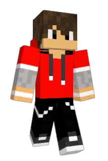 Raptor1153 Minecraft avatar full body