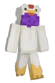 Raqui20 Minecraft avatar full body