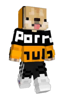Rare17 Minecraft avatar full body