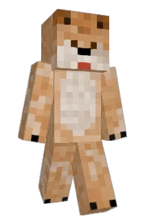 RareDingo5975 Minecraft avatar full body