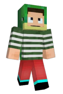 RareFireTurtle Minecraft avatar full body